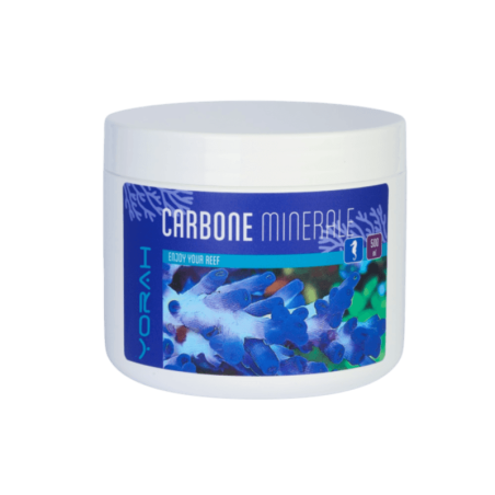Carbone minerale 500ml
