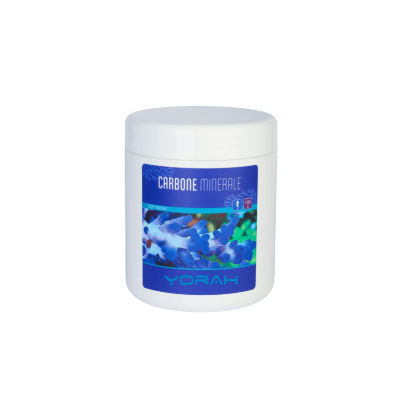 Carbone minerale 1000ml