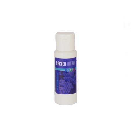 BACTER NITRIX –DOLCE & MARINO 50ml