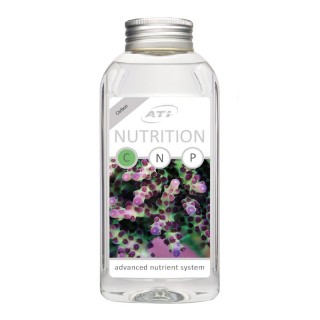 Ati Nutrition C Integratore...